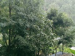 -厚山庭院重庆老火锅