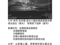 -爱侣宠医·鹦鹉专科·小型哺乳类·异宠专科(灵石路店)