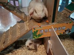 -正佳雨林生态植物园