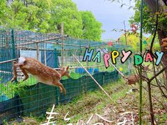 -不觉晓CAMPING(上海迪士尼营地店)