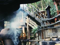 -天门沟九州驿站树上汤泉