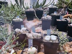 -国家植物园南园