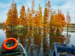 -白鹭湾湿地公园