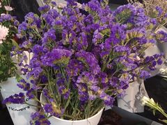 -万卉源鲜花店(百尚生活广场店)