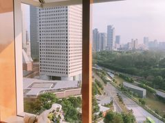 -新加坡丽思卡尔顿美年酒店