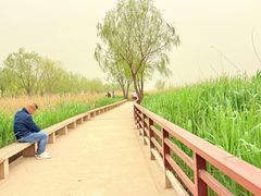 -绿堤公园