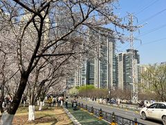 -西北湖绿化广场