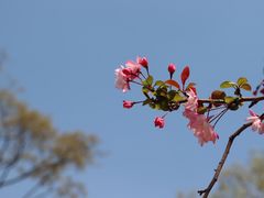 -济南森林公园