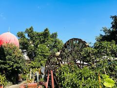 -品德宏·孔雀宴的发源地(金塔园店)