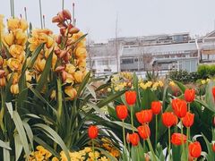 -晓友烧麦(光华村店)