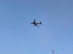 -空港花田景区