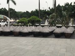 -厨邦酱油文化博览馆