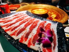 -新哥老官·畅吃123·美蛙世界(苏宁广场店)