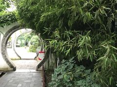 -王家大院