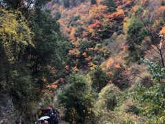 -孟屯河谷景区