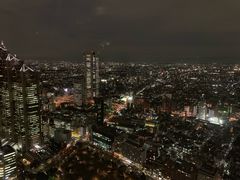 -东京都厅舍