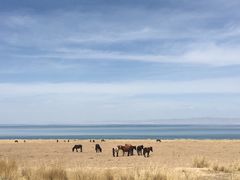 -青海湖国家重点风景名胜区