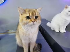 -极木²邸 人与宠物·互动社区