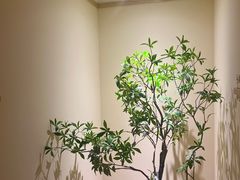 -新富特功夫足疗(华都园大厦店)
