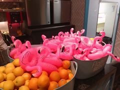 -Flamingo Bloom(TST /尖沙咀店)
