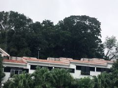 -国恩寺