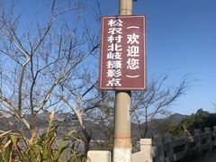 -北岐滩涂