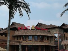 -上海野生动物园老虎餐厅