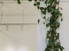 -六朵云照相馆(喷水池店)