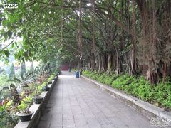 -南沙天后宫景区
