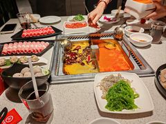 -海底捞火锅(航洋城店)
