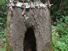 -五女峰国家森林公园