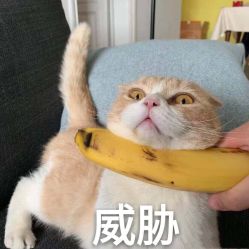 -白月光皮肤管理·德国LDM