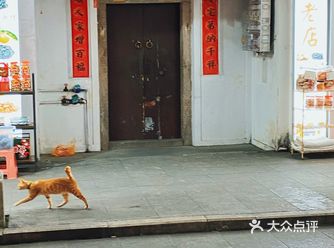他说这里老房子多，意味着也多