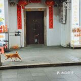 他说这里老房子多，意味着也多