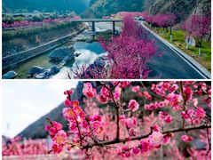 -高岚大峡谷旅游度假区