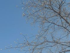 -院子餐厅·大锅菜·老杭帮(桥西直街店)