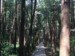 -同里国家湿地公园