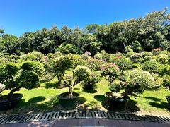 -三亚蜈支洲岛旅游区