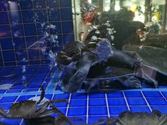 -徐记海鲜(观沙岭|滨江新城店)