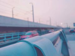 -海堤纪念公园