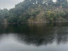 -王借岗森林公园