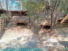 -北京鹿世界主题园