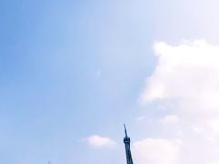 -祥源·阜阳生态乐园