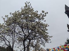-西安市广仁寺