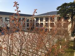 -上海市保健医疗中心(华东疗养院)