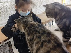-平行世界·猫咖(首经贸店)