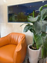 -臻悦医疗美容整形门诊部