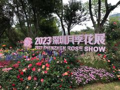 -人民公园(罗湖区)