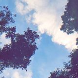 一善染心 万劫不朽 百灯旷照 千里通明