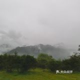 熊猫坪